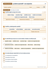 Repaso de fin de año · 3° grado | Ciencias Sociales · muestra 2